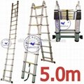 EMJ 5.0m joint  telescopic ladder 1