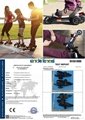EMJ SKATE 2015 Newest model quad roller skates for sale  Y2 3