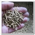 High Quality Animal Feed Pellet Mill 2