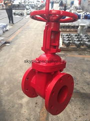 ANSI Cast Iron Rising Stem Gate Valve