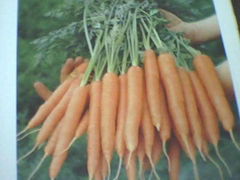 carrots