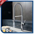 Pull out Spray Head Kitchen Faucet