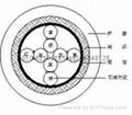 美標UL2464 8芯24AWG雙絞屏蔽線 2