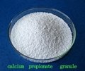 calcium propionate 1