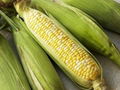 yellow corn 1