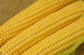 yellow corn 2