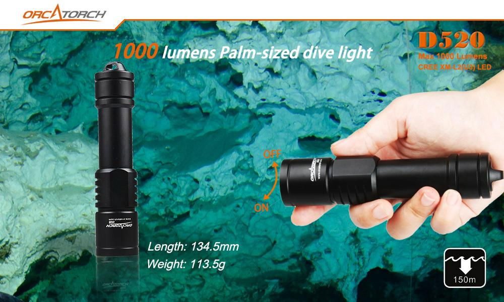 1000lumens  high output palm-sized dive light  2