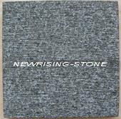 paving stone