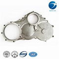 Professional OEM Casting Die Casting Aluminum1 1