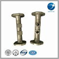 Professional OEM Casting Aluminum