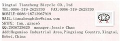 Xingtai Tianzheng Bicycle Co., Ltd