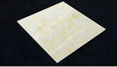 POLISHED CERAMIC TILE