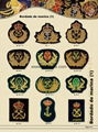 Law Enforcement Badges 4