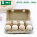 Biodegradable Paper Pulp Egg Packaging Carton for Chicken Eggs 1