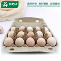 Biodegradable Paper Pulp Egg Packaging Carton for Chicken Eggs 4