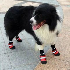 JML Pet Accessories Dog Boot Camp Best Dog Boots Dog Running Shoes