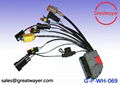 Automotive Wiring Harness 0.35MM2 GXL 2