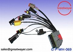 Automotive Wiring Harness 0.35MM2 GXL 2 Way male Duetsch 4pin ECU