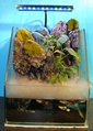 Aquarium background,3D aquarium