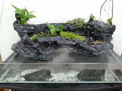 turtle home, terrarium landscaping for turtle