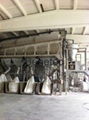 salt screen salt rotary sieve