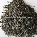 wholesale china green tea 95 tea 3