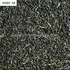 wholesale china green tea RAHA tea