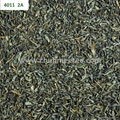 wholesale china green tea RAHA tea 3