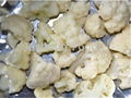 Frozen cauliflower 1