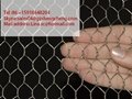 Sturdy hexagonal shape rabbit cages gabion box with best price