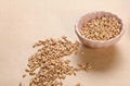 供应耕农谷坊熟黑米可用于现磨成粉批发 5