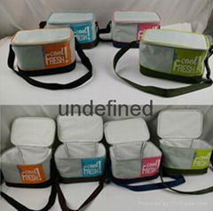 cooler bag