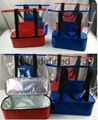 cooler bag 1