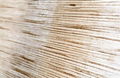 Beautiful Natural bamboo roller blinds wholesale  3