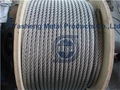 SS Wire Rope 6x19 IWRC and Fiber Core