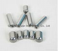 Chrome Steel Needle Roller for Bearing 1