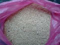 Animal feed( soybean meal;sunflower meal) 1