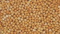 Legumes from Russia 2