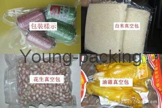 Vacuum Packing Machine 2