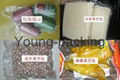 Double Chamber Vacuum Packing Machine 2