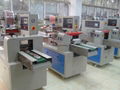 Horizontal Wrapping Package Machine 2