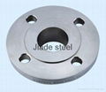 Stainless Flange 1