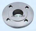 Stainless Flange