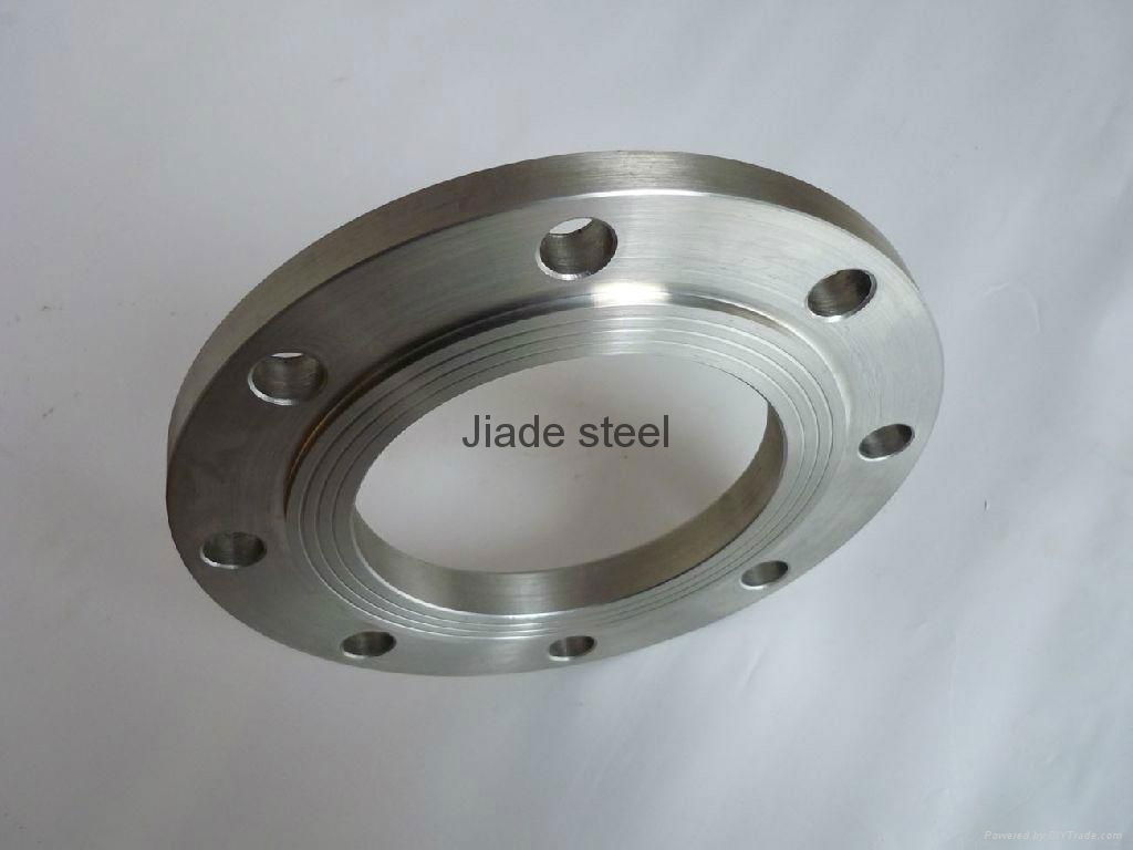 Stainless Flange 2