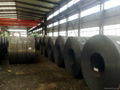 PPGI/Hot Dipped Galvanized Steel Coil/Sheet/Plate/Strip