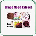 Grape Seed Extract