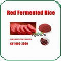 Red Yeast Rice Powder 1