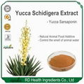 Yucca Extract