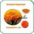 Marigold Extract