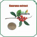 Guarana Seed Extract 1